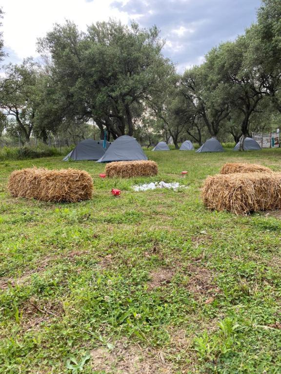çika’s Camping * Borsh